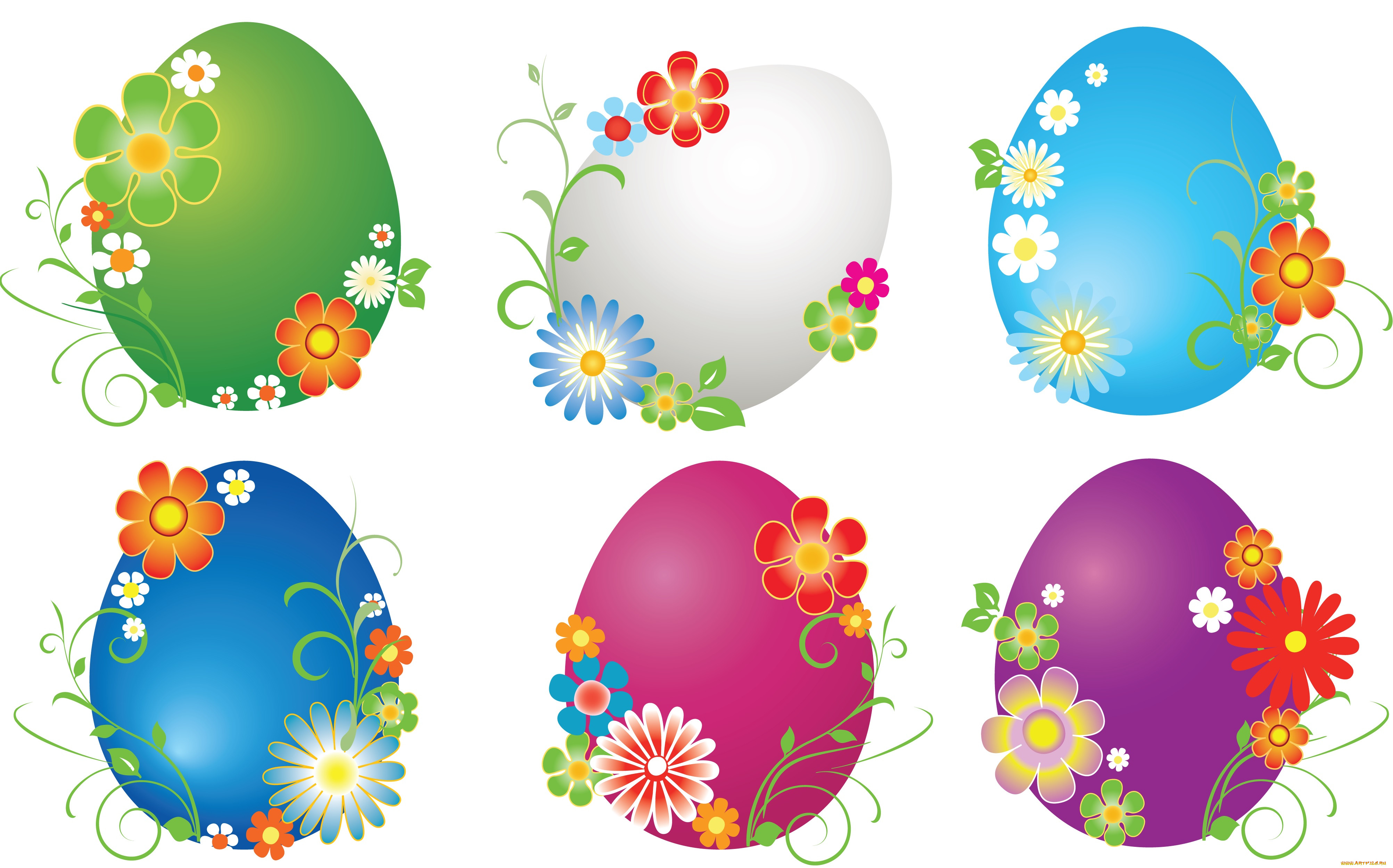  ,  , flowers, , 